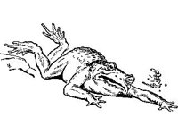 CHLD0525.jpg
