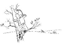 CHLD0497.jpg