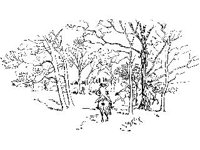 CHLD0485.jpg