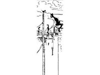CHLD0339.jpg
