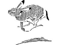 CHLD0306.jpg