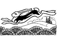 CHLD0290.jpg