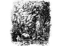 CHLD0246.jpg