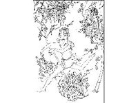 CHLD0241.jpg