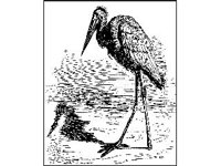 CHLD0228.jpg
