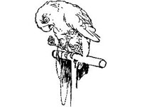 CHLD0216.jpg