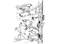 CHLD0208.jpg
