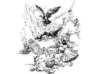 CHLD0199.jpg