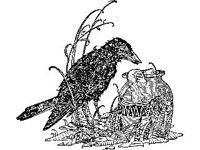 CHLD0192.jpg