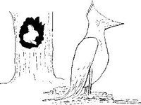 CHLD0186.jpg