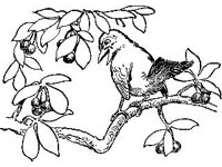 CHLD0176.jpg