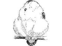 CHLD0172.jpg