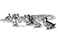 CHLD0143.jpg