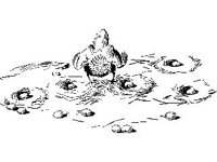 CHLD0119.jpg