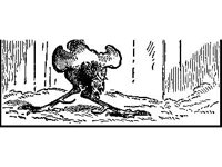 CHLD0116.jpg