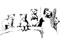 CHLD0095.jpg