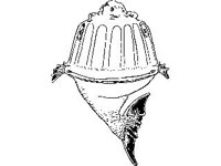 CHLD0042.jpg
