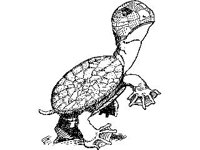 CHLD0040.jpg