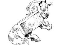 CHLD0036.jpg