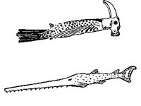 CHLD0030.jpg