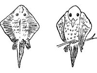 CHLD0029.jpg