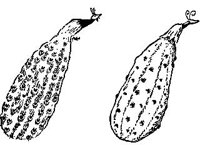 CHLD0023.jpg