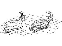 CHLD0010.jpg