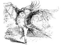 CHLD0933.jpg