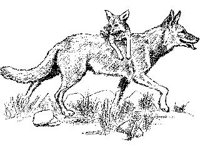 CHLD0879.jpg