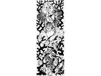 CHLD0874.jpg