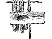 CHLD0864.jpg