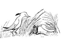 CHLD0828.jpg