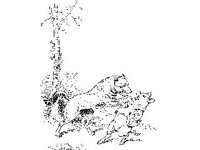 CHLD0823.jpg
