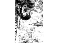 CHLD0815.jpg