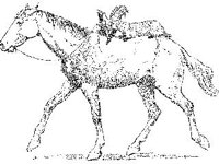 CHLD0813.jpg