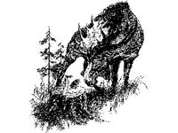 CHLD0795.jpg