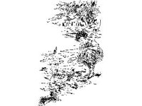 CHLD0778.jpg