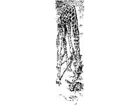 CHLD0777.jpg