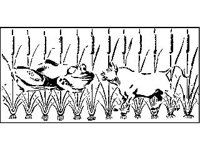 CHLD0747.jpg
