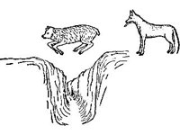 CHLD0728.jpg