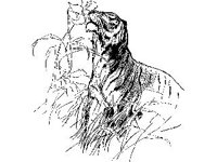 CHLD0691.jpg