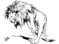 CHLD0672.jpg