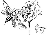 CHLD0648.jpg