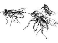 CHLD0639.jpg