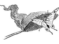 CHLD0633.jpg