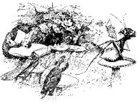 CHLD0625.jpg
