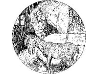 CHLD0610.jpg