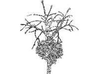 CHLD1022.jpg