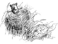 CHLD1926.jpg