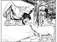 CHLD1901.jpg